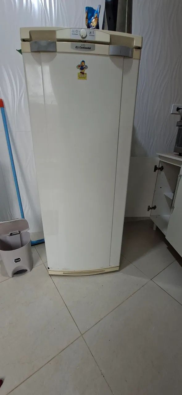 Geladeira 110v