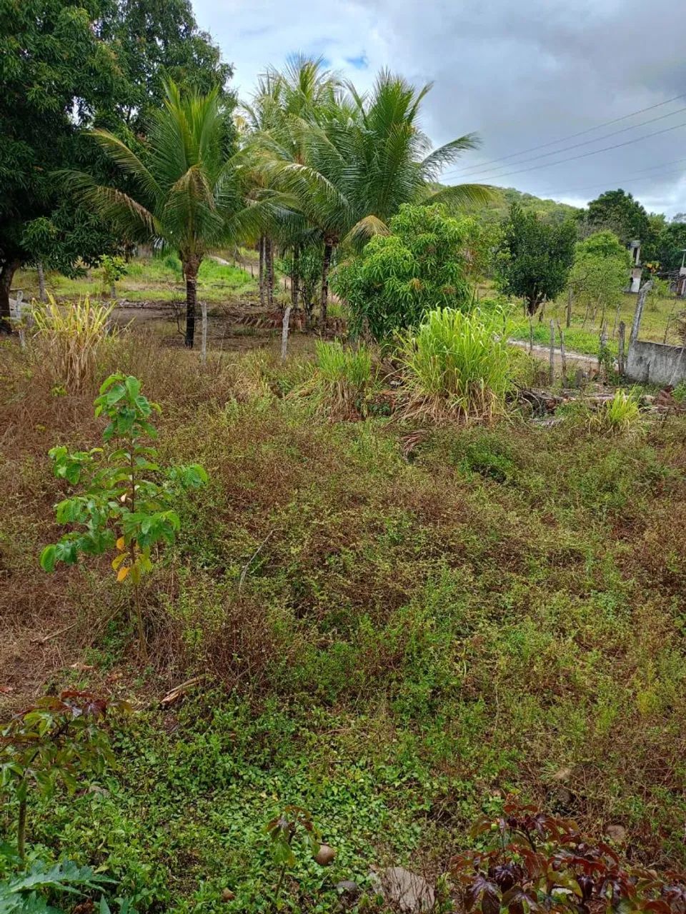 20 tarefas - Foto 4