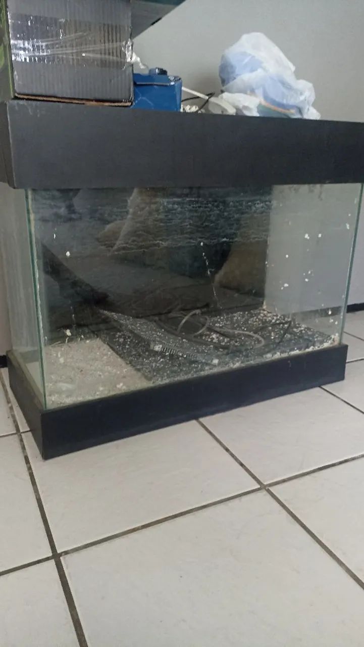 Aquário  - Foto 2