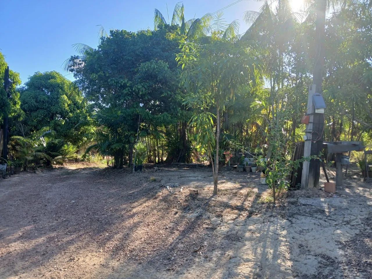 Vende-se chácara na vila sororó ( Cabaceira )  - Foto 4
