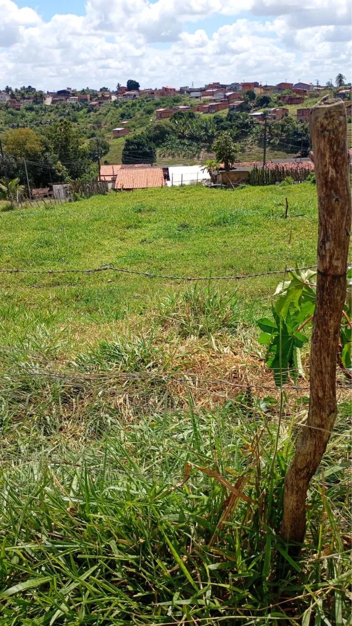 TERRENO À VENDA - AMÉLIA RODRIGUES BA - Foto 3