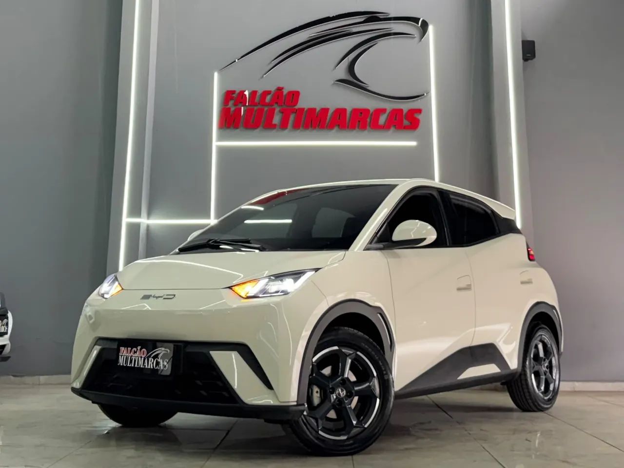 BYD Dolphin Mini (Elétrico) 2024 - Foto 2