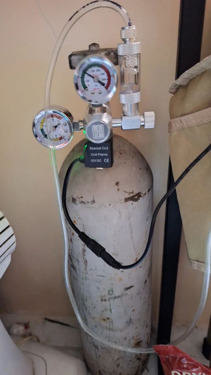 Cilindro de CO2 aquário plantado completo.