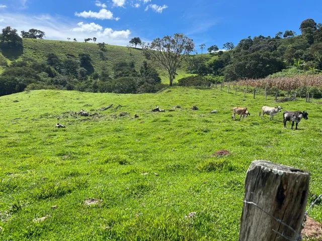 Chácara em Paraisópolis 12.000 m2 - Só terra