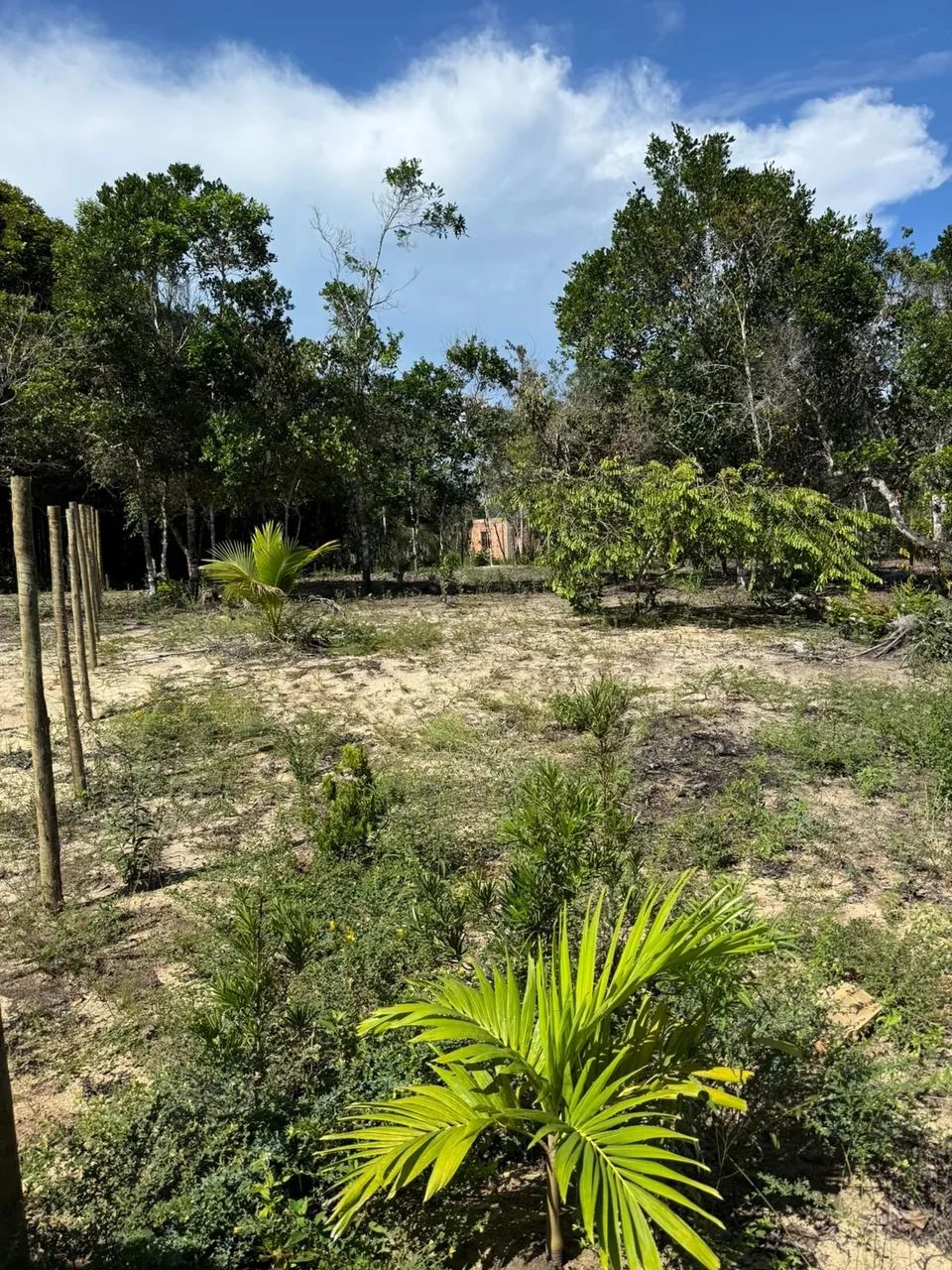 Terreno em Arraial d`Ajuda - Foto 4