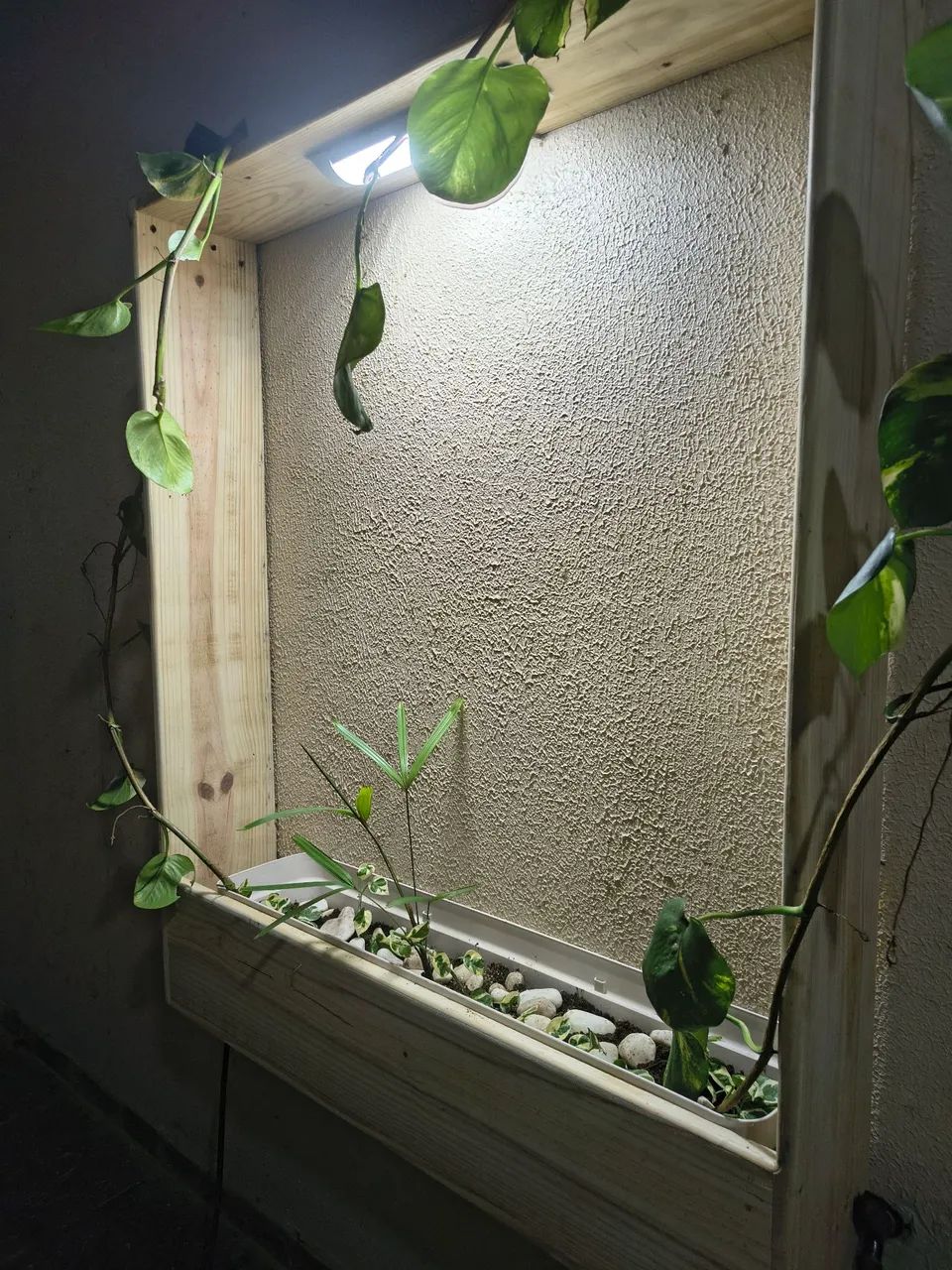 Jardim vertical estilo quadro  - Foto 3