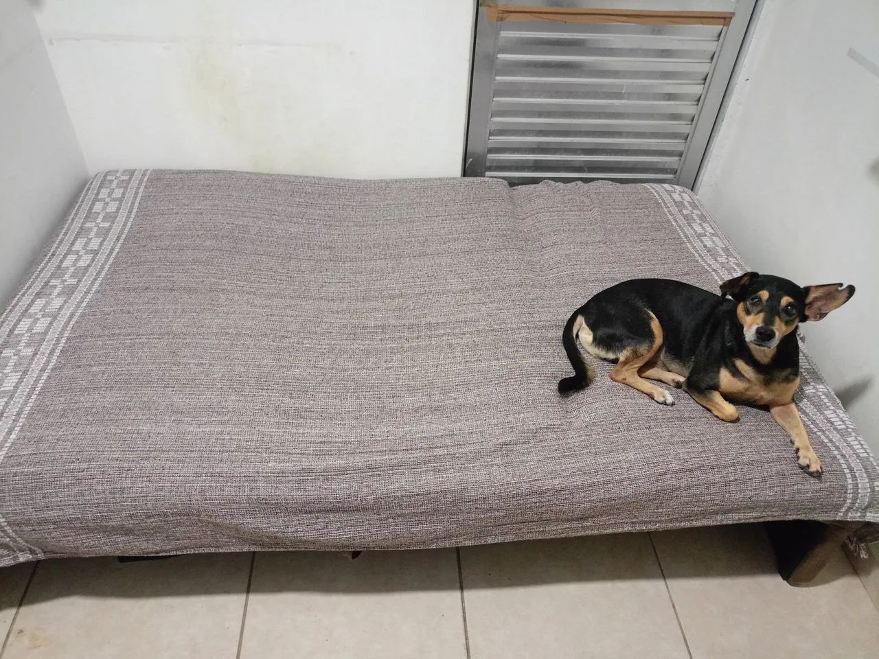Brown Velvet Two-Seat Sofa Bed417563144220190724