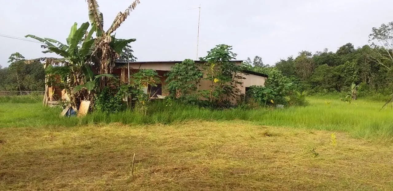 Terreno 350x80