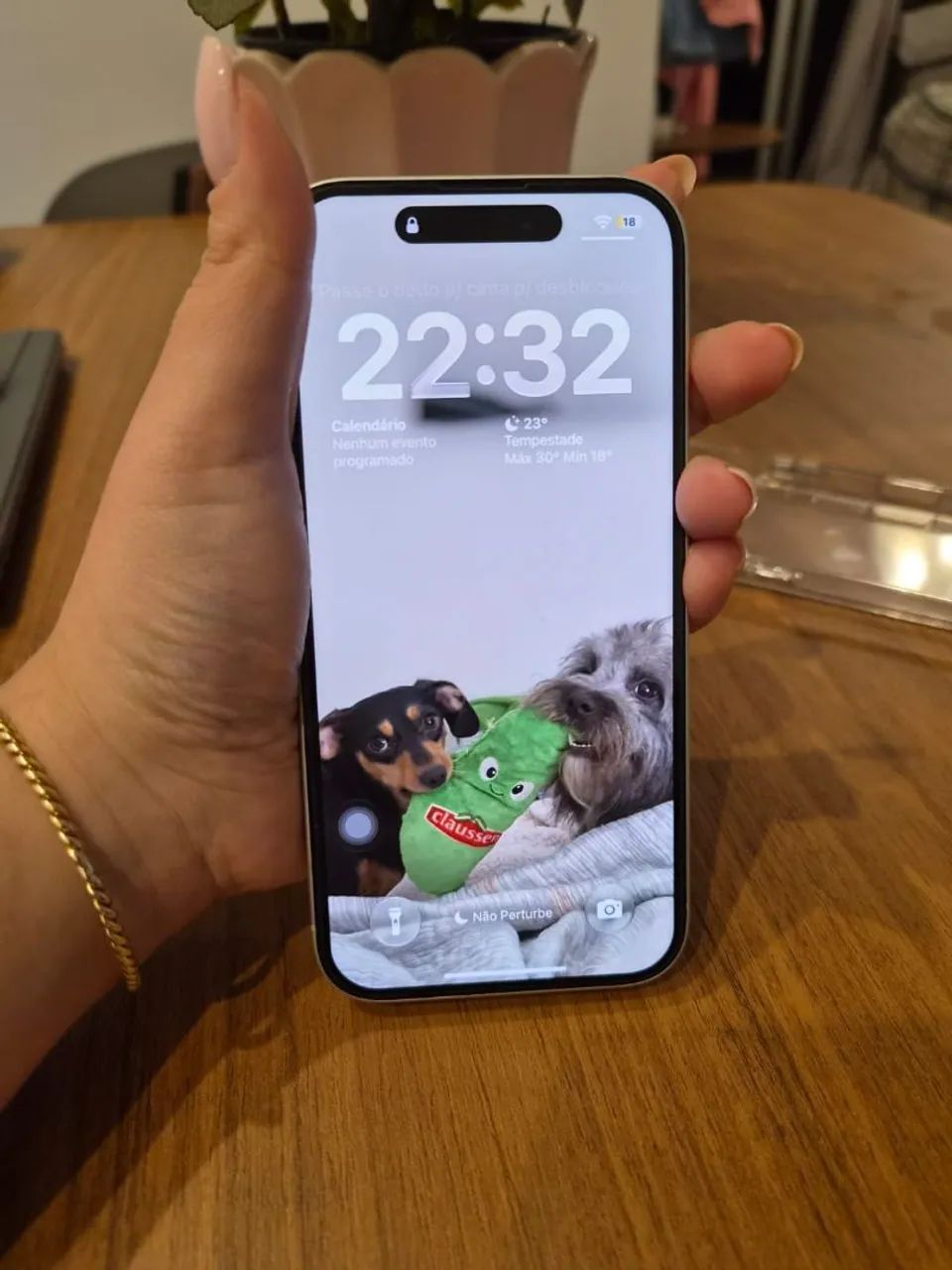 Iphone 16 - 256GB (SEMINOVO) - Foto 4