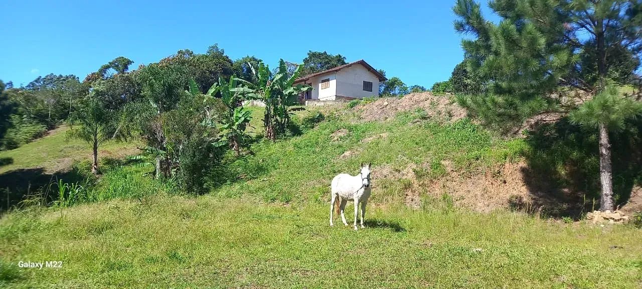 Sítio em Águas Mornas 5.042m² - Foto 4
