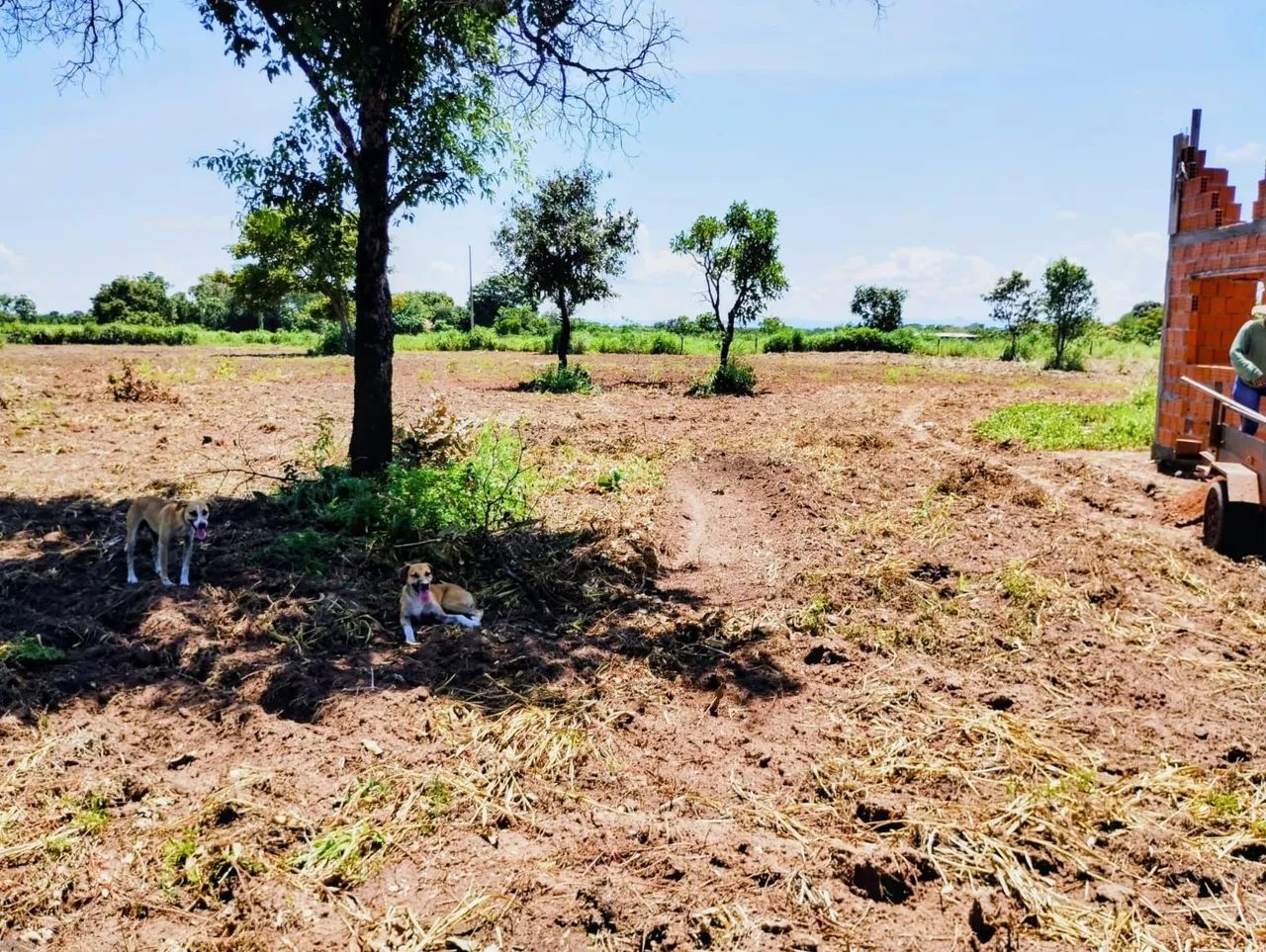 More no Campo: Chácara 2 Hec com Casa de 3 Qts (1 Suíte). - Foto 5