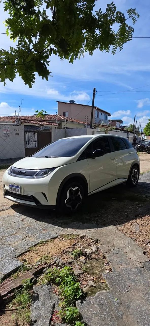 BYD Dolphin 2024
