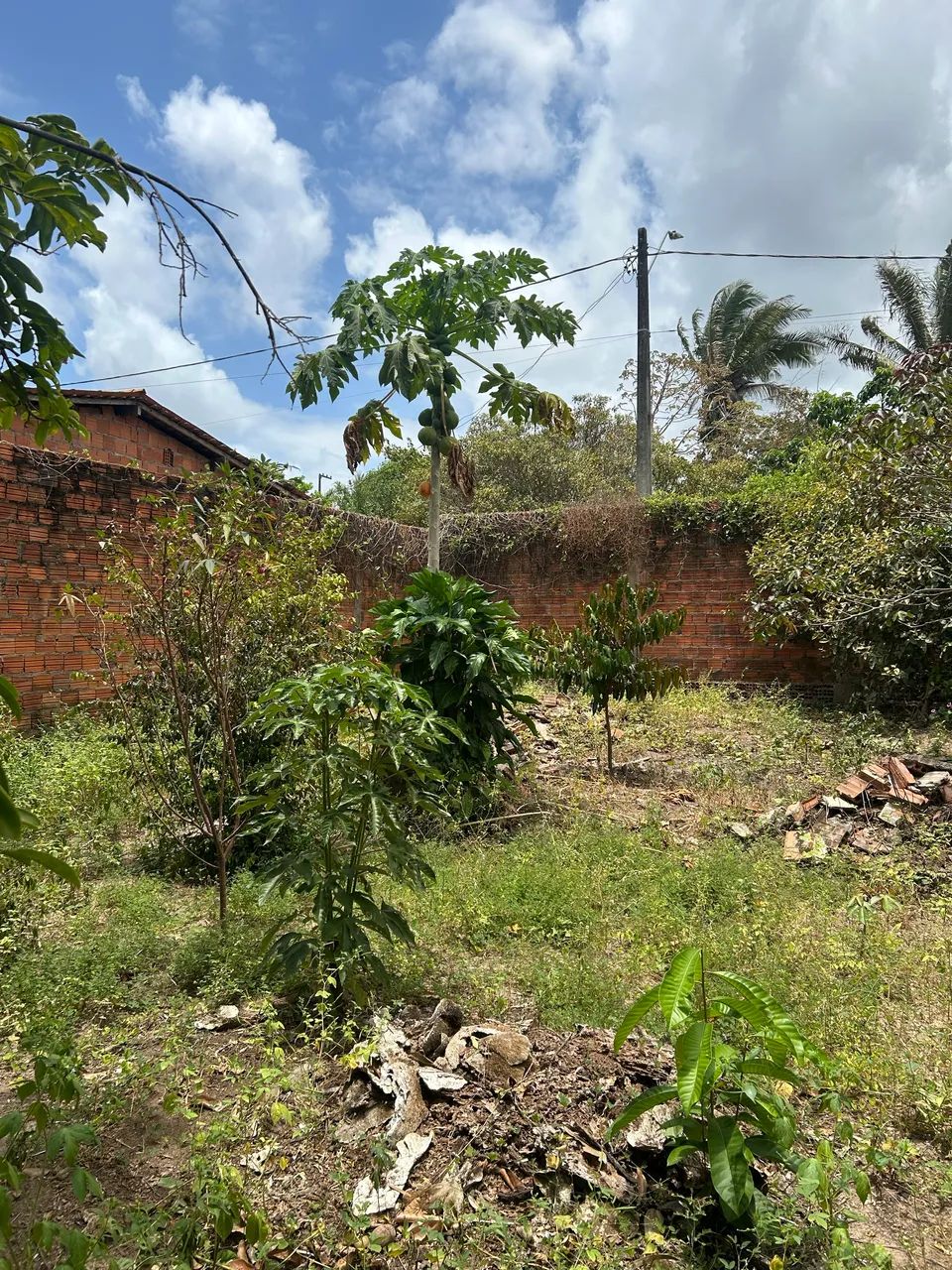 Vendo esse pequeno sítio lindo  - Foto 5
