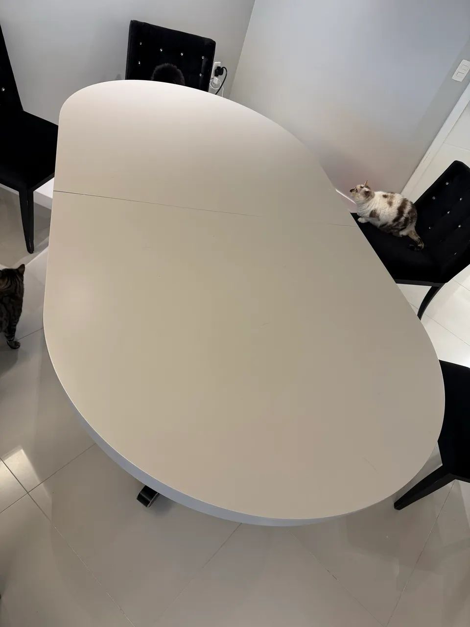 Mesa de poker profissional e jantar - Foto 5
