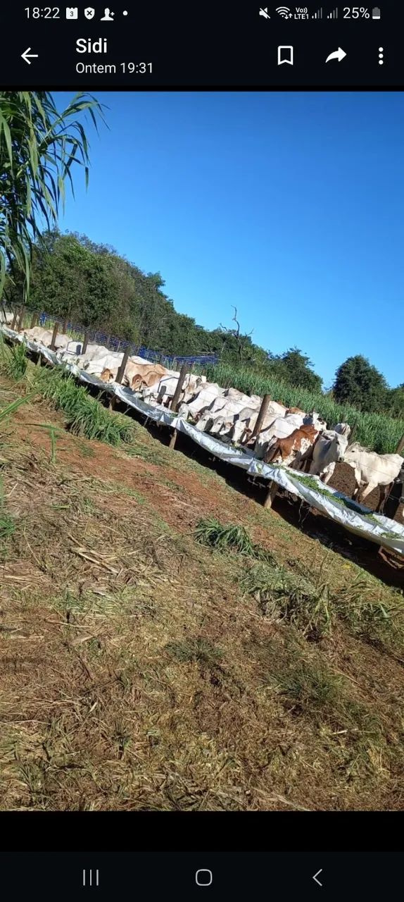 Empreiteiro geral  - Foto 2