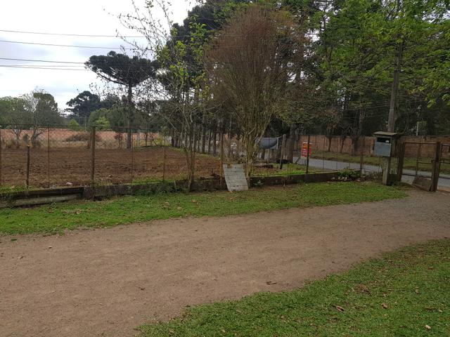Terreno / área - Foto 6