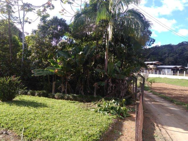 Chácara Em Guaramirim - Foto 7