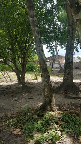 Terreno Centro Monte Gordo - Foto 4