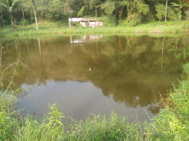Linda fazenda em Cachoeiras de Macacu 20 alqueires oportunidade!!!! - Foto 2