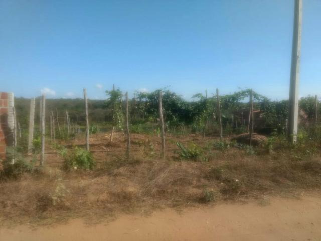 Terreno 850 metros quadrados - Foto 7