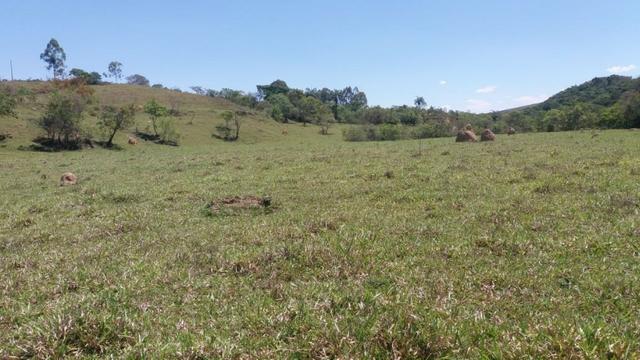 91C/Bela fazendinha de 13 ha em ótimo local e com tudo que a gente quer - Foto 9