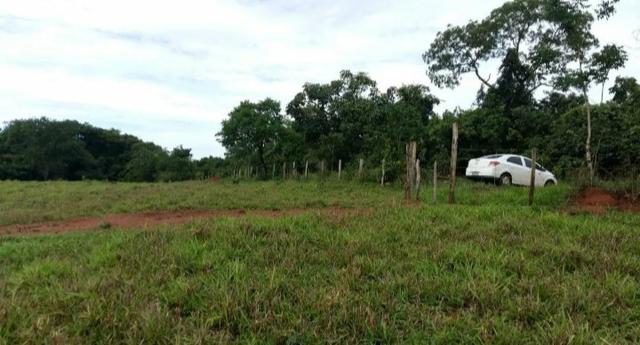 Chácara em Senador Canedo, 21 alqueires, 25 km de Goiânia _ saída para Bonfinopólis - Foto 3