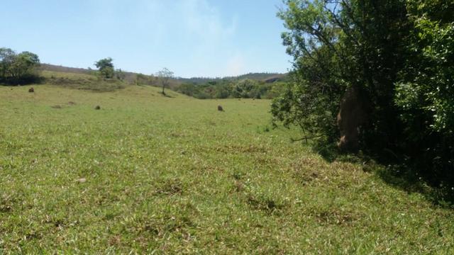 91C/Bela fazendinha de 13 ha em ótimo local e com tudo que a gente quer - Foto 8