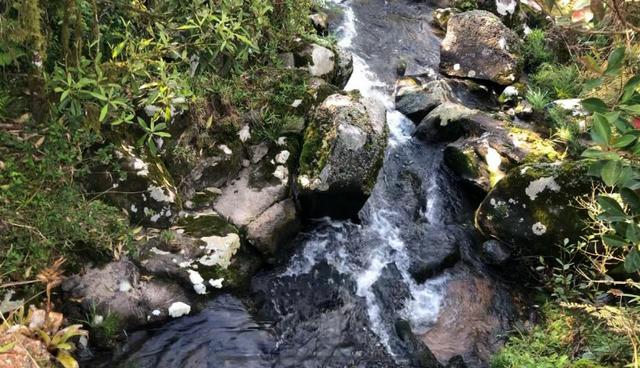 Chácara em São José dos pinhais bairro Castelhanos - Foto 15