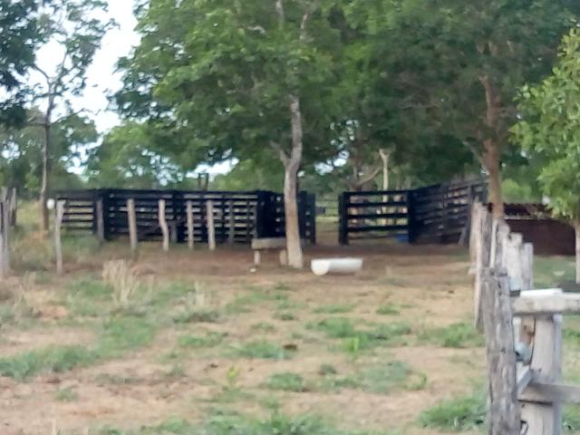 Vende-se uma chácara em Poconé, 50 hectares - Foto 15