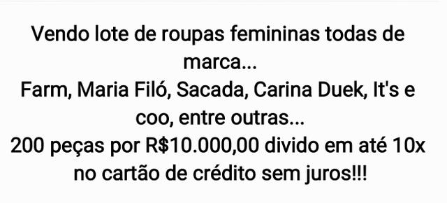 Lote de roupas femininas todas de marca