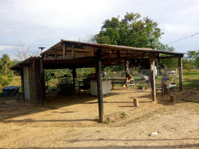 Vende-se uma chácara em Poconé, 50 hectares - Foto 9