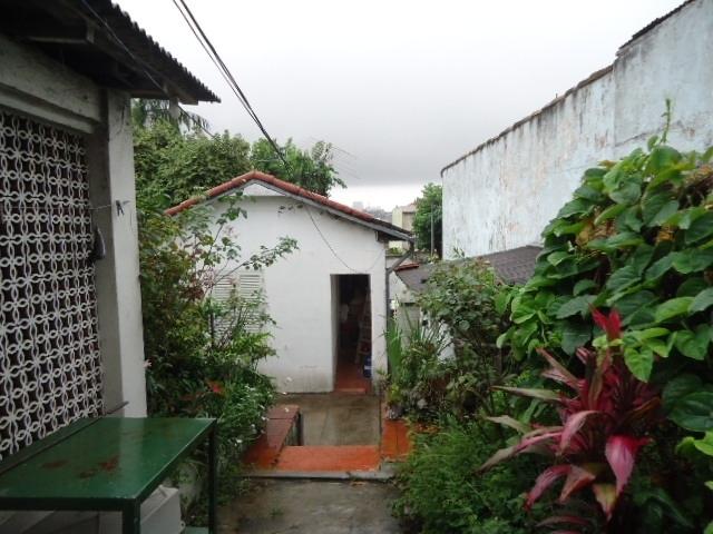 Terreno - bairro cerâmica - são caetano do sul
