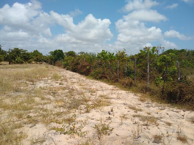 Terreno em Cascavel- Caponga - Foto 2