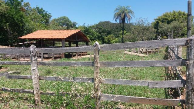 91C/Bela fazendinha de 13 ha em ótimo local e com tudo que a gente quer - Foto 4