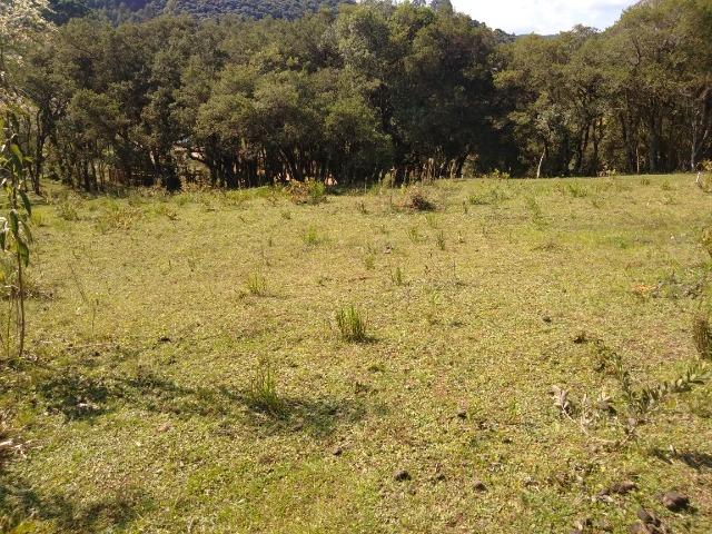 Chácara de 4.300m2 em Bocaiuva do Sul - Foto 4