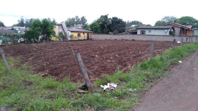 Terreno grande oportinidade - Foto 3