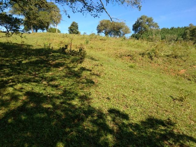 Chácara de 4.300m2 em Bocaiuva do Sul - Foto 7