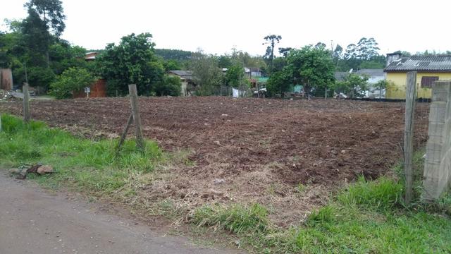 Terreno grande oportinidade