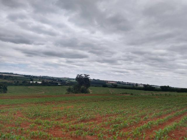 Chacara px Holambra 2000mts 55mil