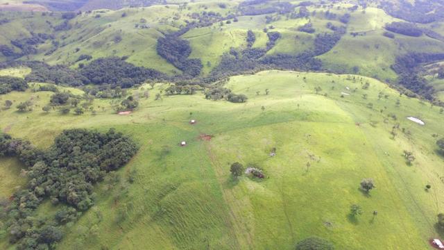 Fazenda - Foto 16