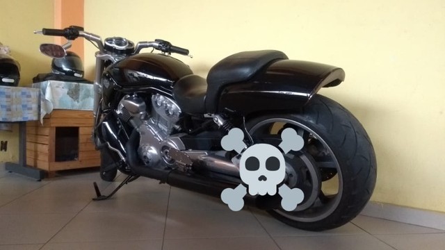 HARLEY VC ROD MUSCLE