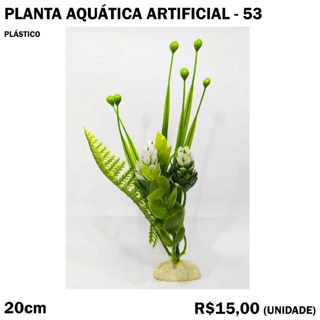 Planta Verde com Flor Branca para Aquário