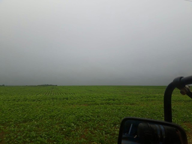 Fazenda de 39.000 hectares Próxima a Confresa MT - Foto 3