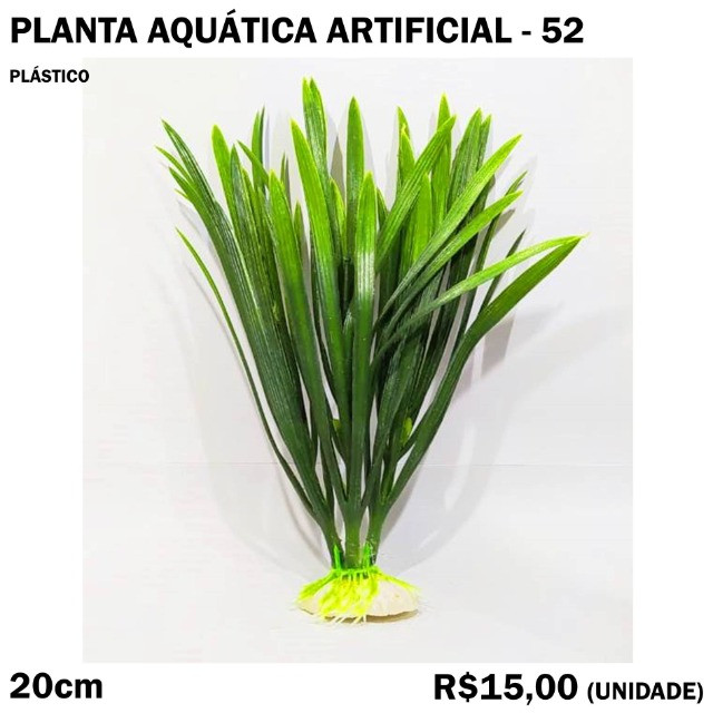 Planta Verde para Decorar Aquário