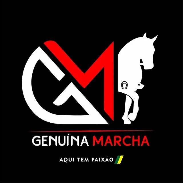 Cavalo registrado no Mangalarga marchador a venda
