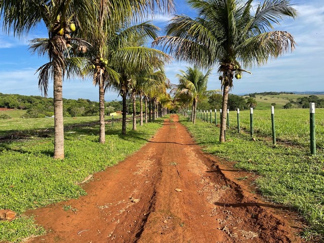 Chácara de 02 alqueires e 27 litros em Itauçu-GO