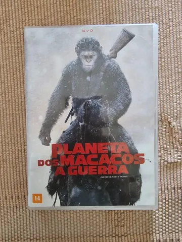 DVD O Grande Mestre Invencível O Guarda Costas Em Ação Original Duplex B