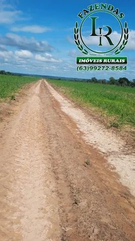 Fazenda 858 Alqueires Dupla Aptidão no Tocantins - Foto 5