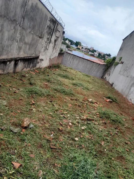 Rocador, roçar e juntar,  jardinagem - Foto 2