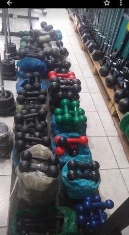 Halteres 